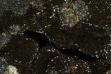 Septarian Dragon Egg Geode - Black Crystals #172798-2